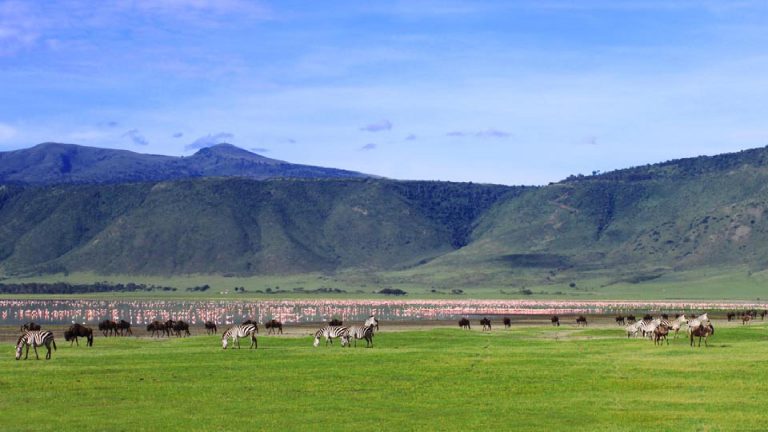 Ngorongoro_Crater_1-1