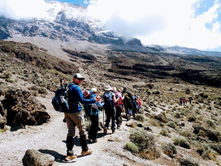 Kilimanjaro Trek via Lemosho Route with Hotel Stay - 8 Days