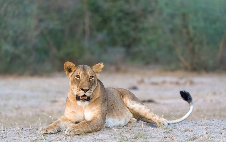Serengeti National Park