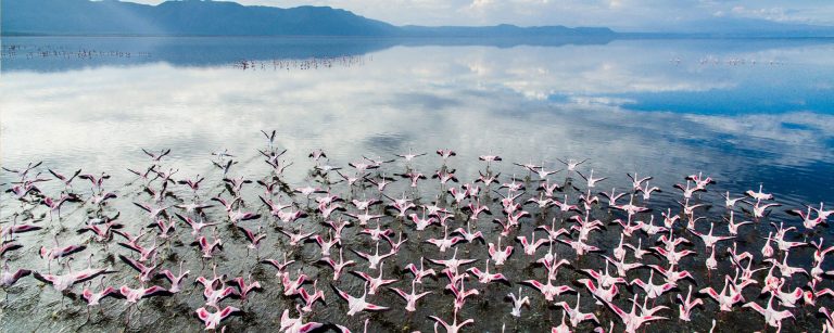 lake-manyara-banners