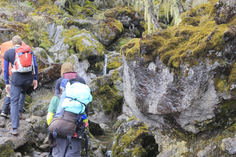 Kilimanjaro Trek via Machame Route - 8 Days.