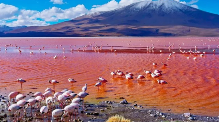 Lake Natron Tanzania.