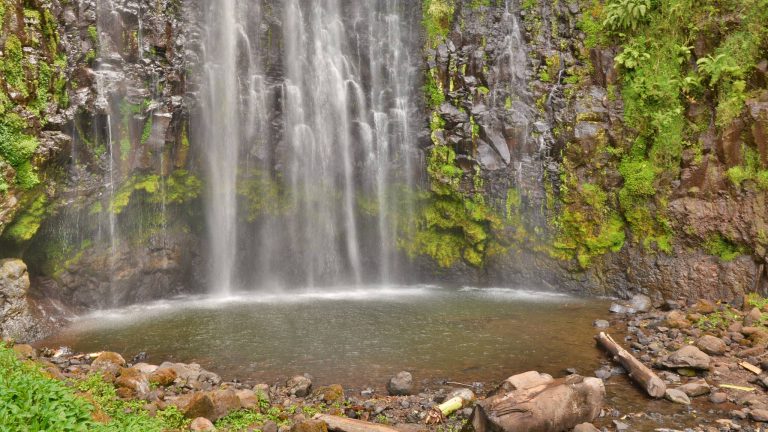 Materuni Waterfall and Coffee Farm Tour