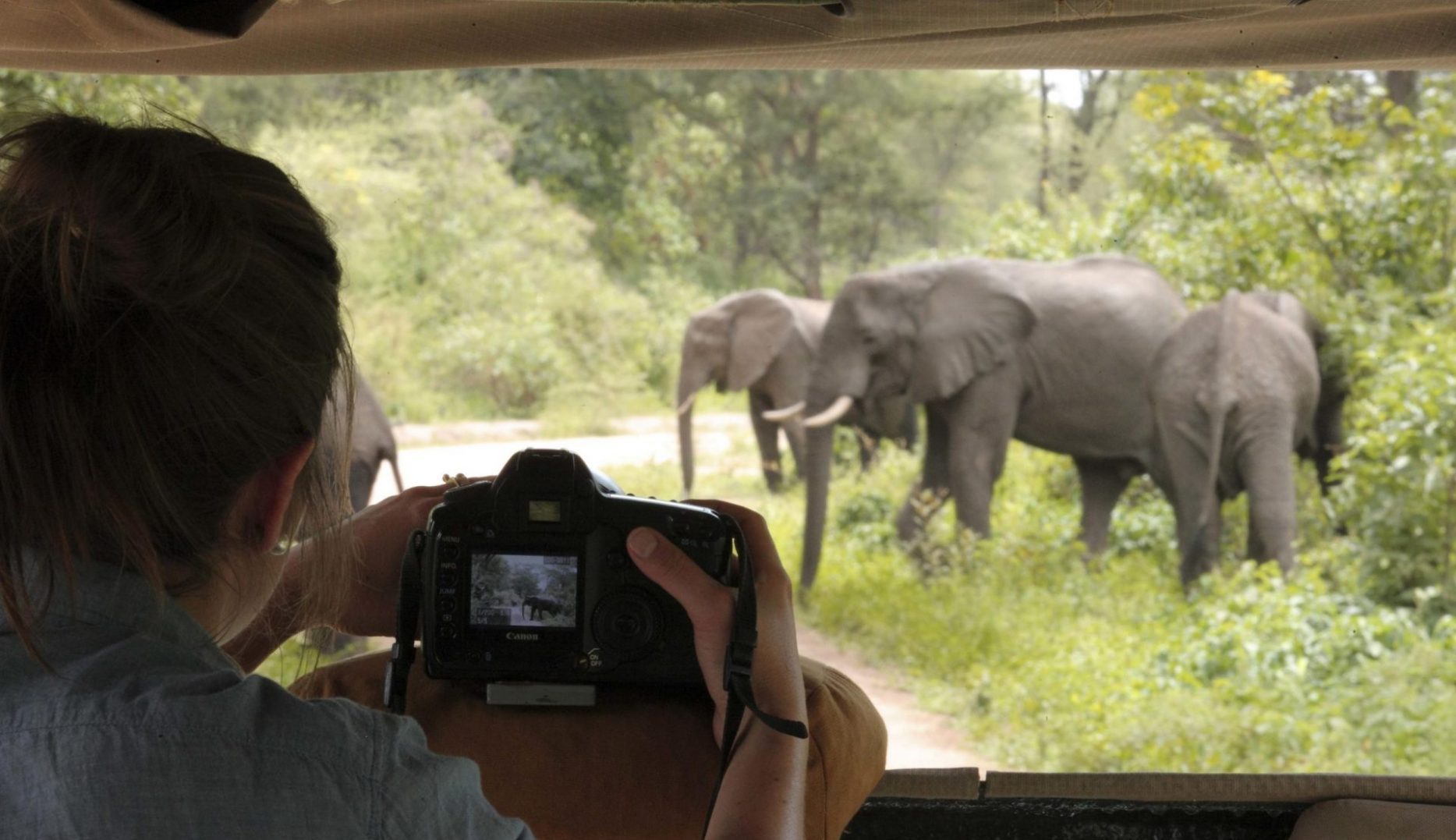 Top 10 things to do in ruaha national park