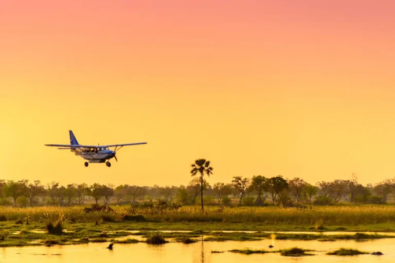 Tanzania luxury Travel