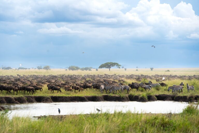 Where Does the Great Migration Start?