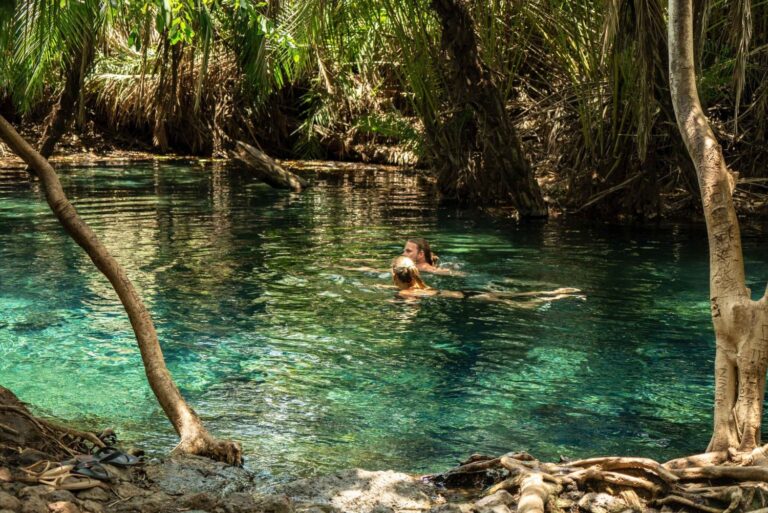 Materuni Waterfalls, Coffee Tour and Hotsprings.