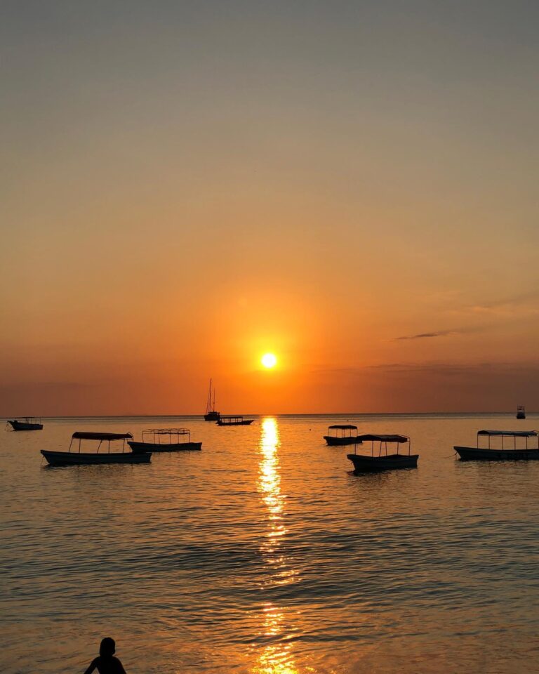 Why Is the Spice Tour One of Zanzibar’s Top Experiences?