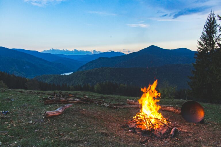 How Does a Camping Fire in Tanzania Bring the Safari to Life?