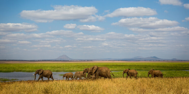 5-Day Luxury Northern Circuit Safari