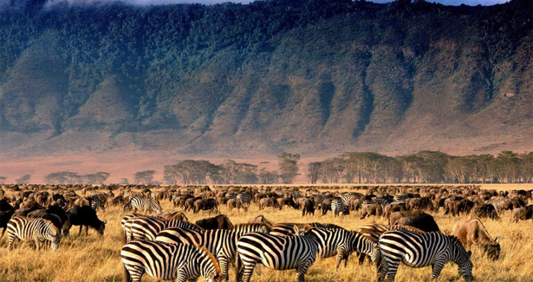 4-Day Tarangire, Ngorongoro & Manyara Signature Safari